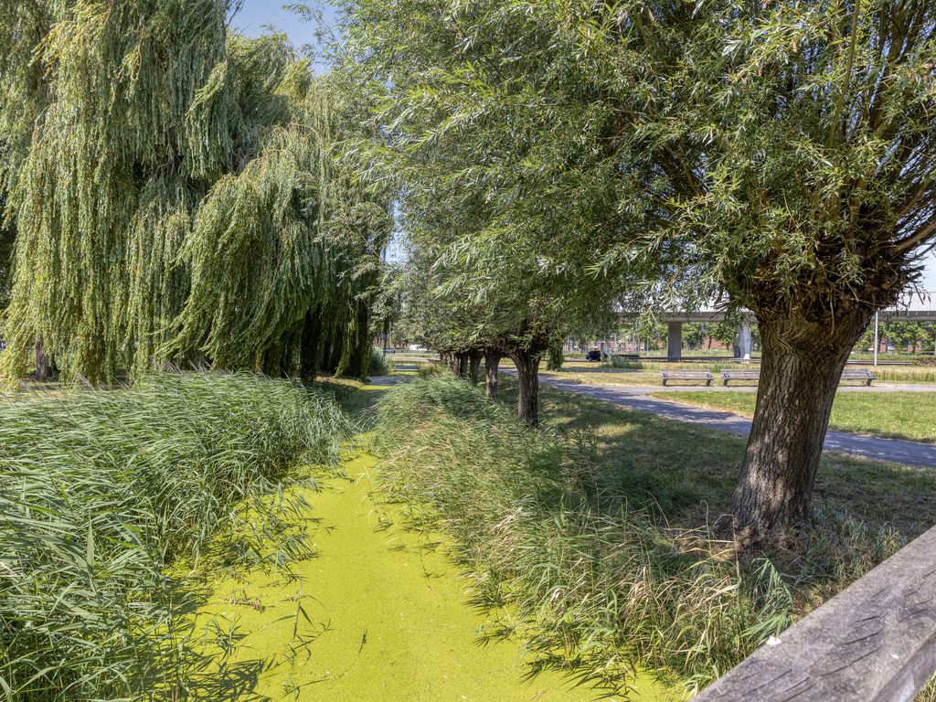Lisdodde 15, Hoogvliet