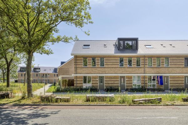 Holwinde 2