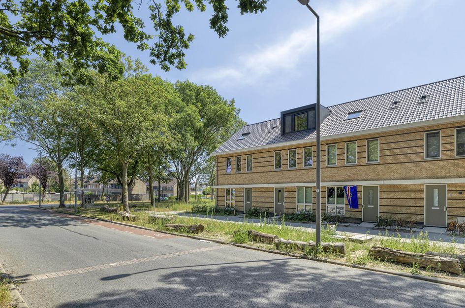 Holwinde 2