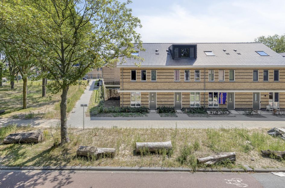 Holwinde 2