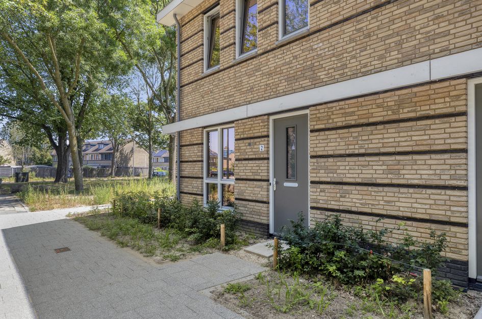 Holwinde 2