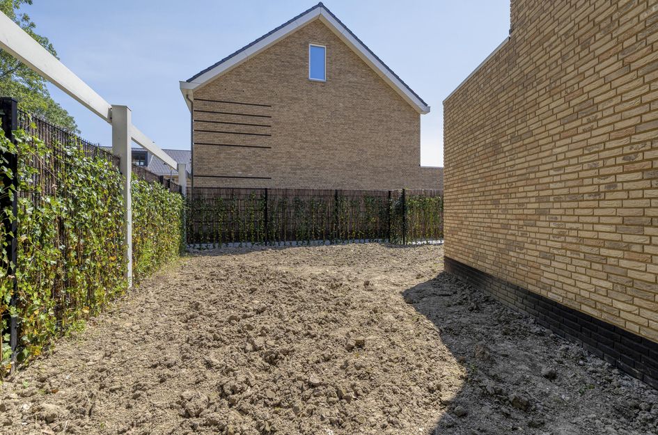 Holwinde 2