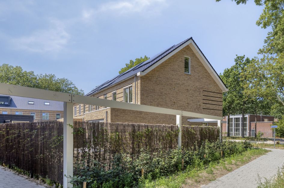 Holwinde 2