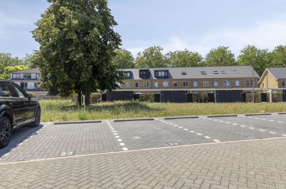 Holwinde 2