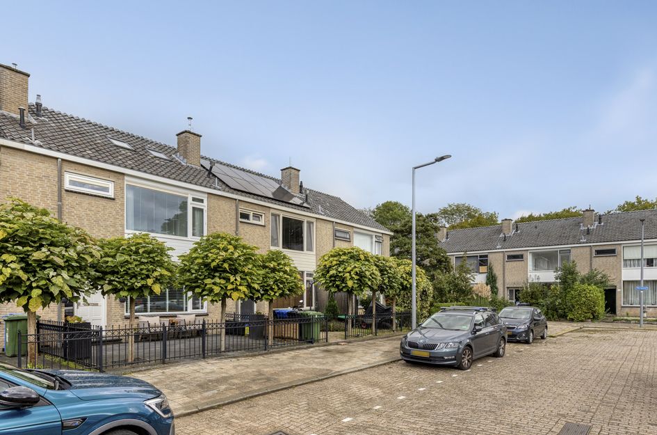 Bongweg 8