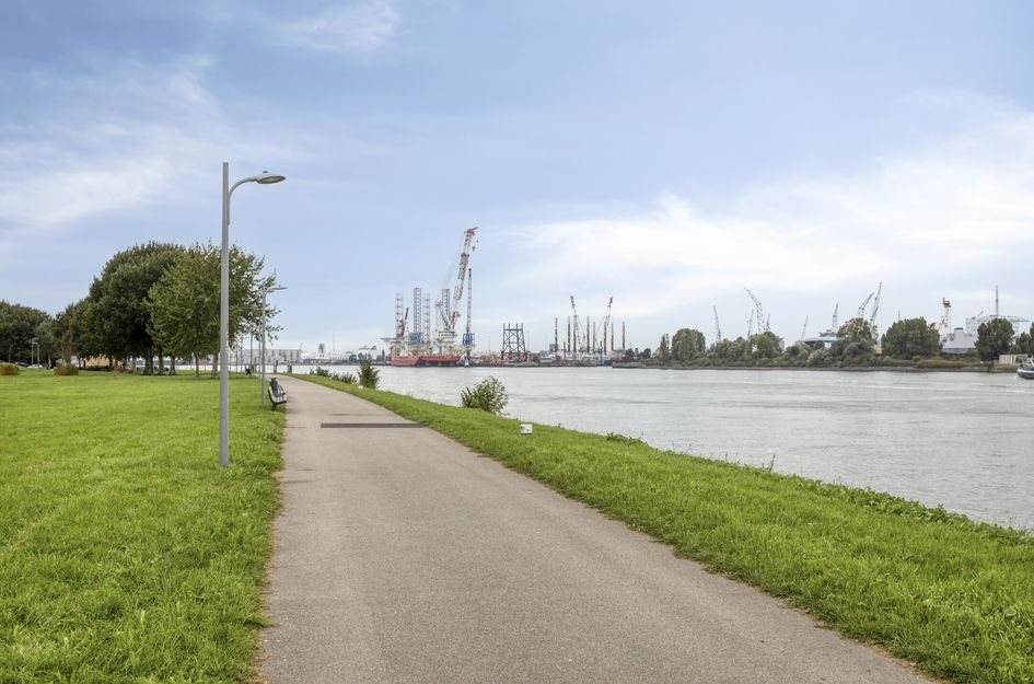 Pastoriedijk 195