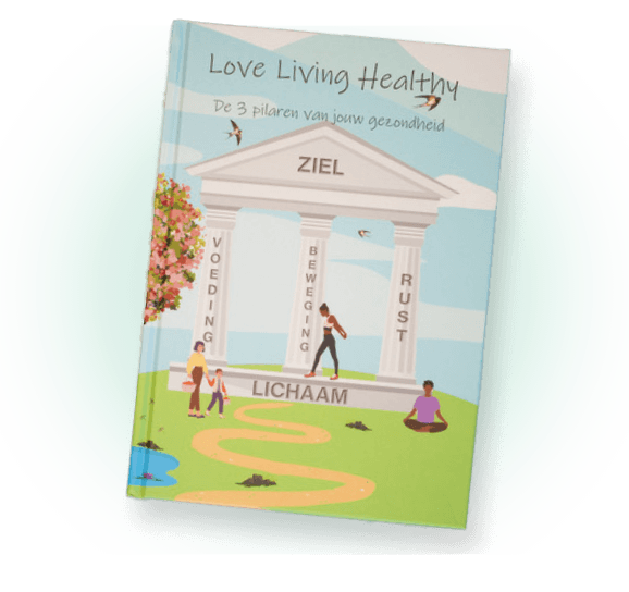 DE 3 PILAREN VAN JOUW GEZONDHEID