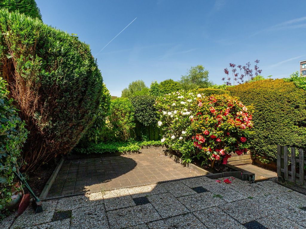 Kastanjesingel 17, ROTTERDAM