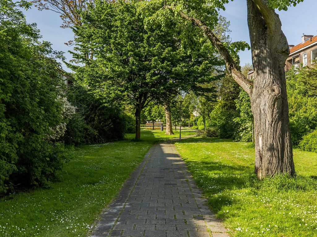 Carel van Nieveltstraat 32B, ROTTERDAM