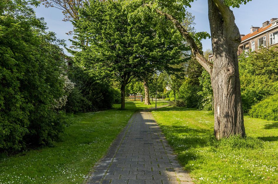 Carel van Nieveltstraat 32B
