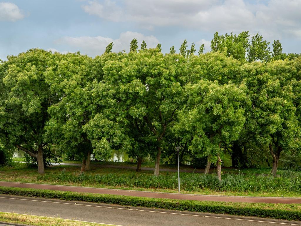 Gordelweg 43B 02, ROTTERDAM