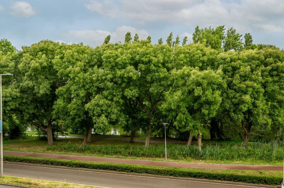 Gordelweg 43B 02
