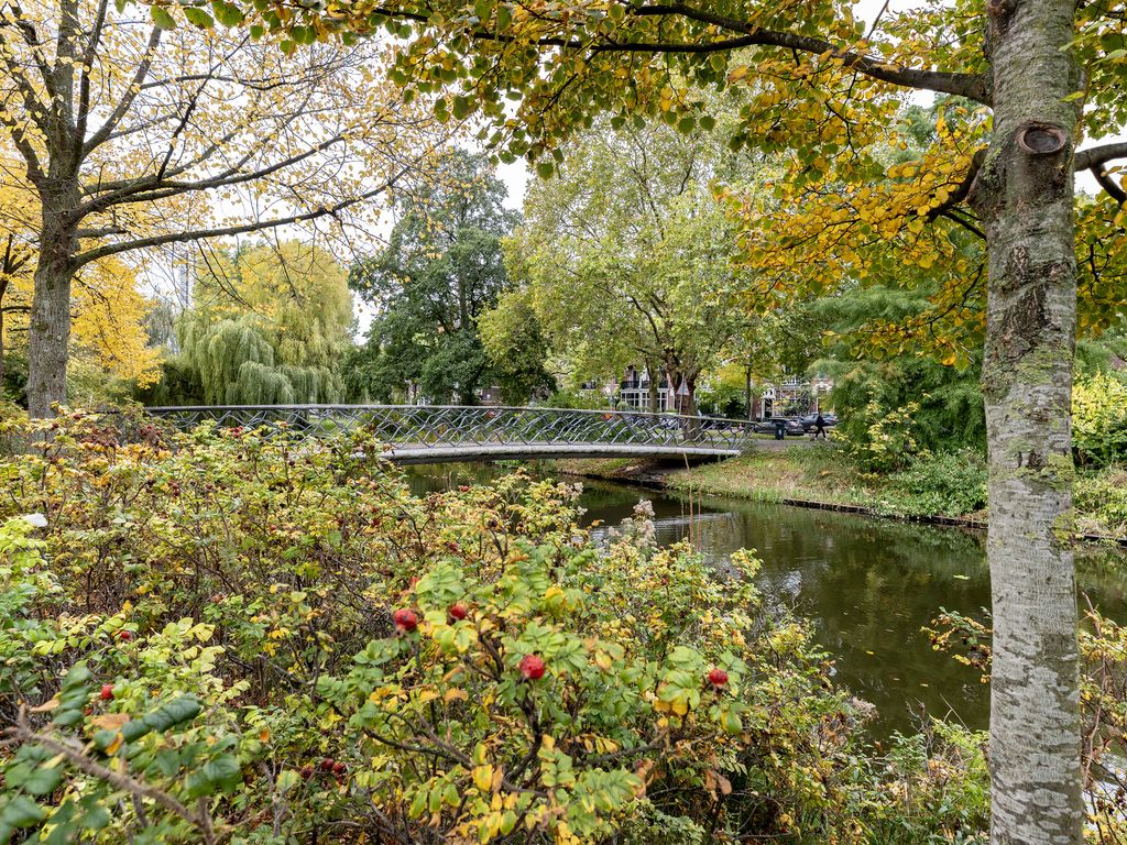 Spoorsingel 38A 02, ROTTERDAM