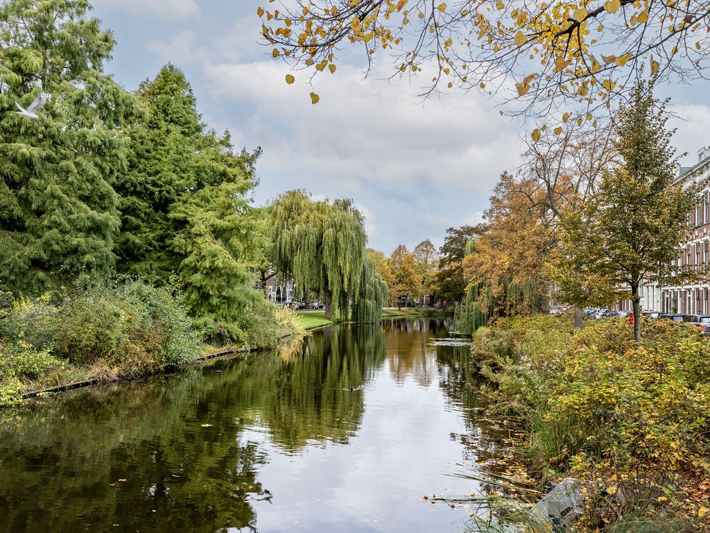 Spoorsingel 38A 02, ROTTERDAM
