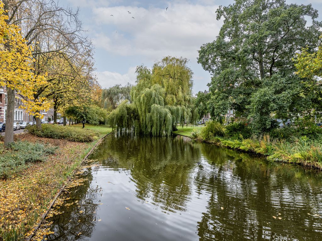 Spoorsingel 38A 02, ROTTERDAM