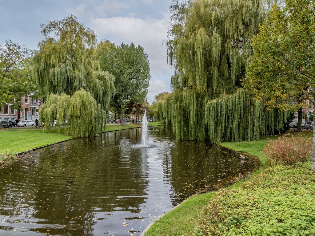 Spoorsingel 38A 02, ROTTERDAM