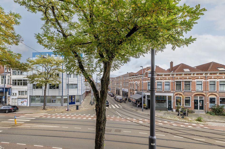 Bergweg 205A 03