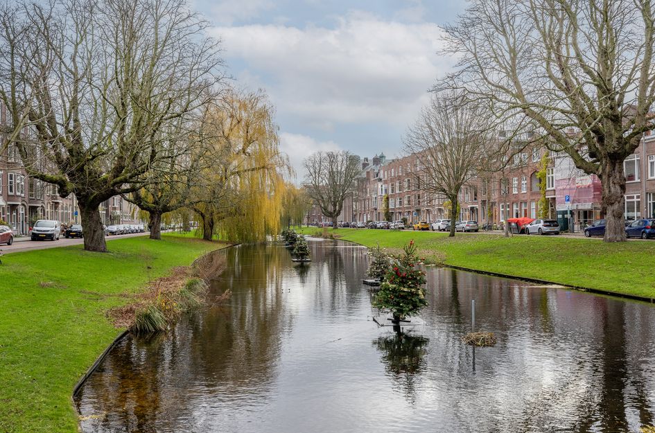 Rodenrijsestraat 55A 01