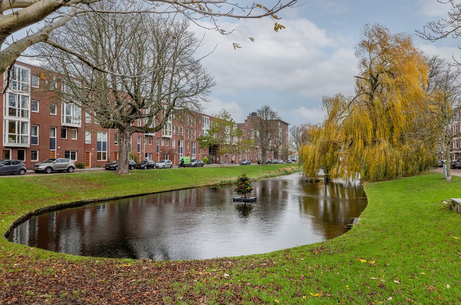 Rodenrijsestraat 55A 01