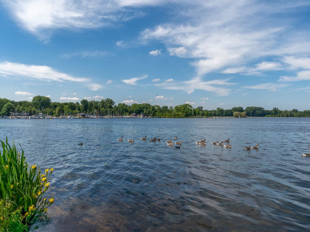 Charlotte de Bourbonlaan 13C, ROTTERDAM