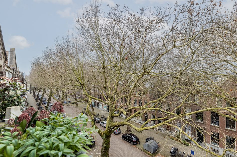 Graaf Florisstraat 90A 02