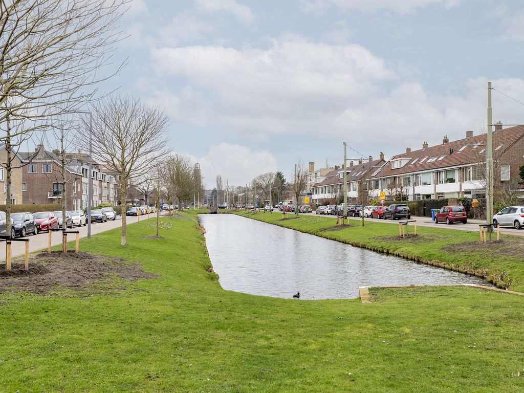 Ribeslaan 75, ROTTERDAM