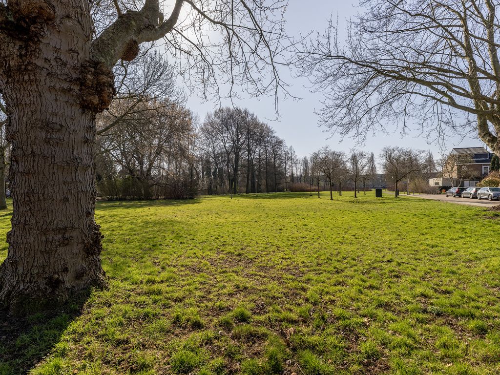 Olijflaan 67, ROTTERDAM