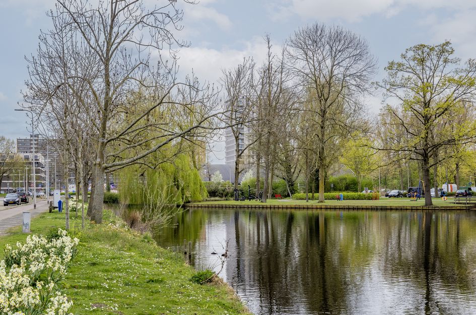 P C Boutenssingel 28