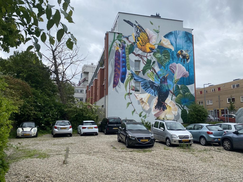 Schiekade 21A, ROTTERDAM