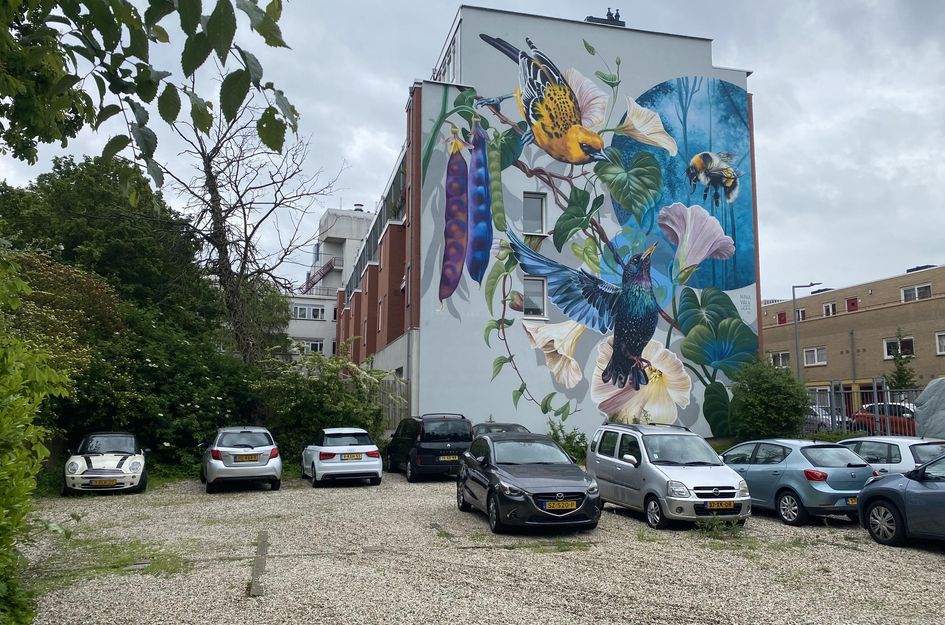 Schiekade 21A