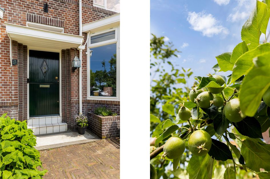 Schiebroeksesingel 8
