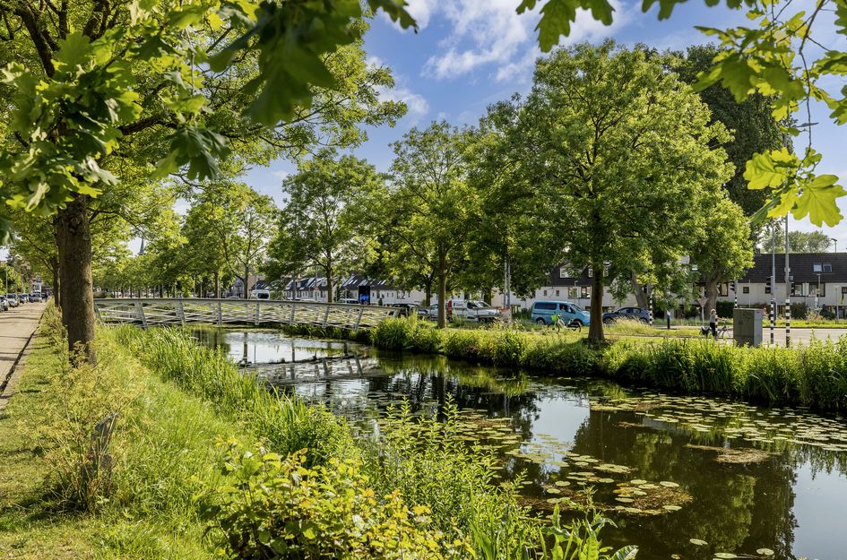 Schiebroeksesingel 8