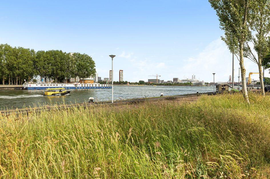 Sint-Jobskade 508