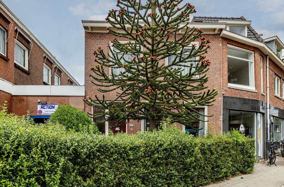 Kleiweg 137