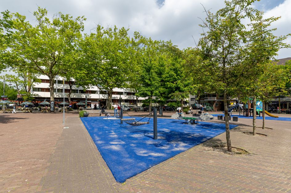 Zwaardleliestraat 25