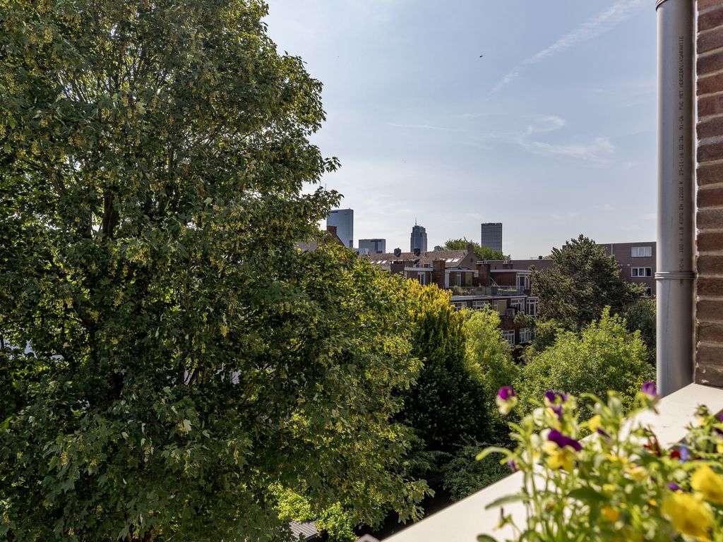 Dresselhuysstraat 16B 01, ROTTERDAM