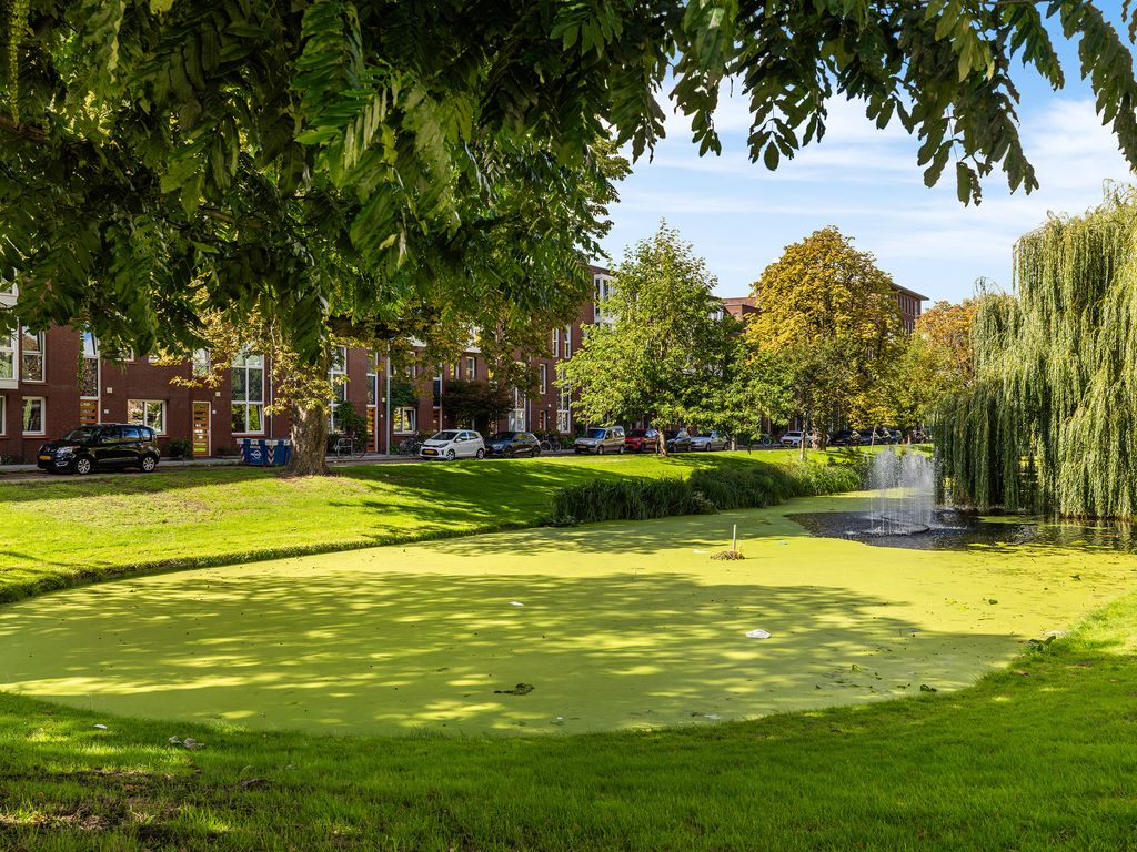 Bergsingel 33D, ROTTERDAM