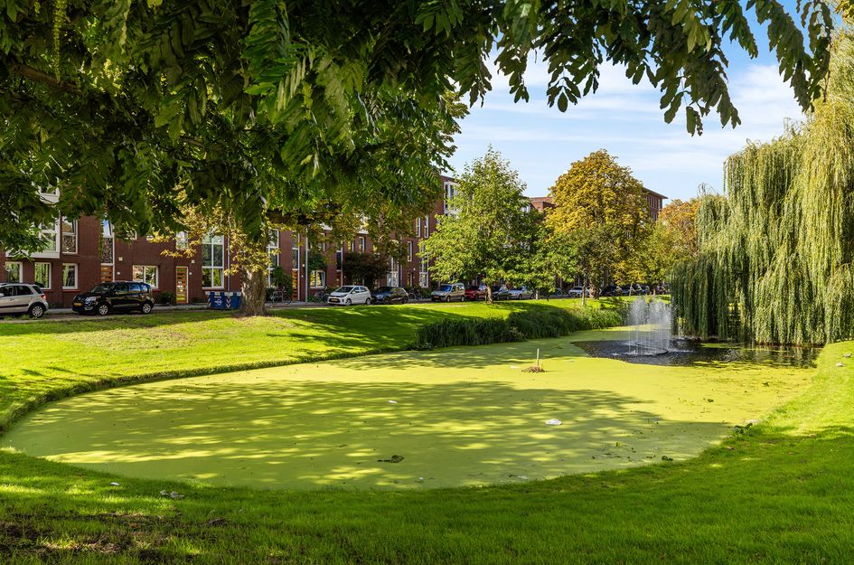 Bergsingel 33D