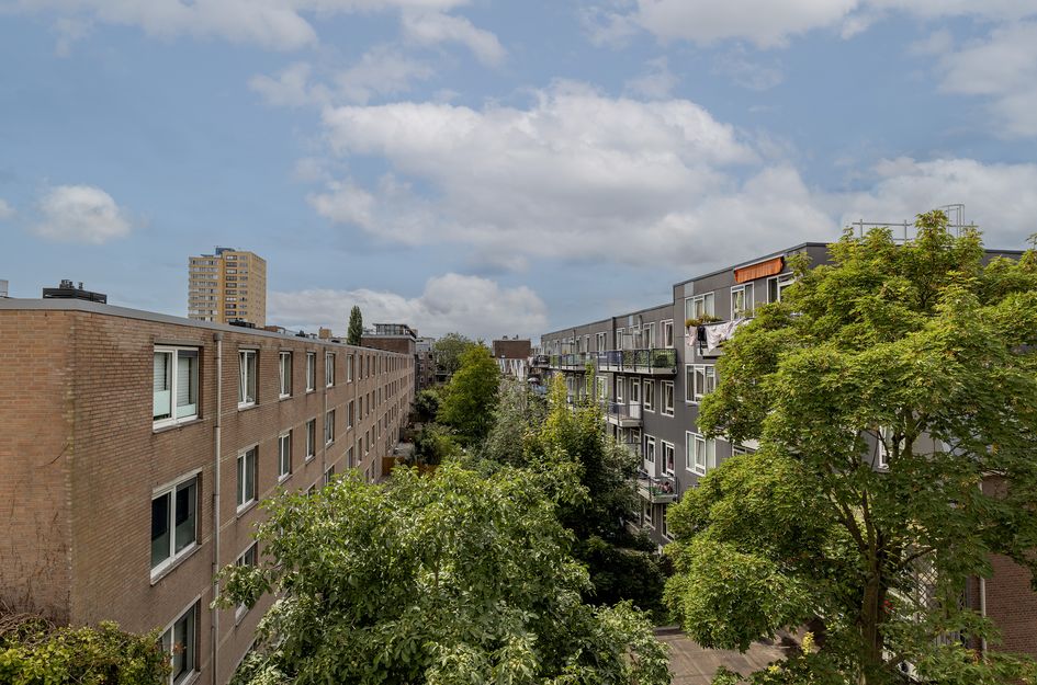 Rodenrijselaan 37B