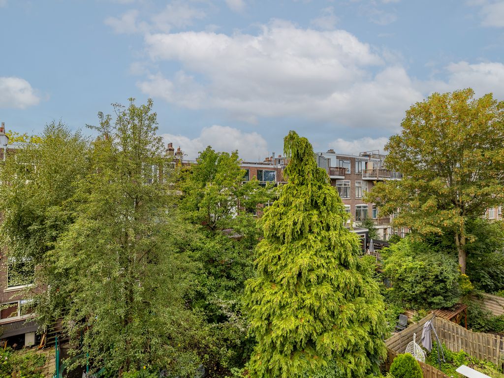 Schiebroeksestraat 49, ROTTERDAM