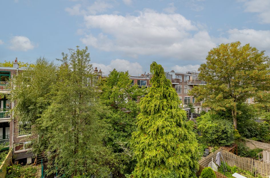 Schiebroeksestraat 49