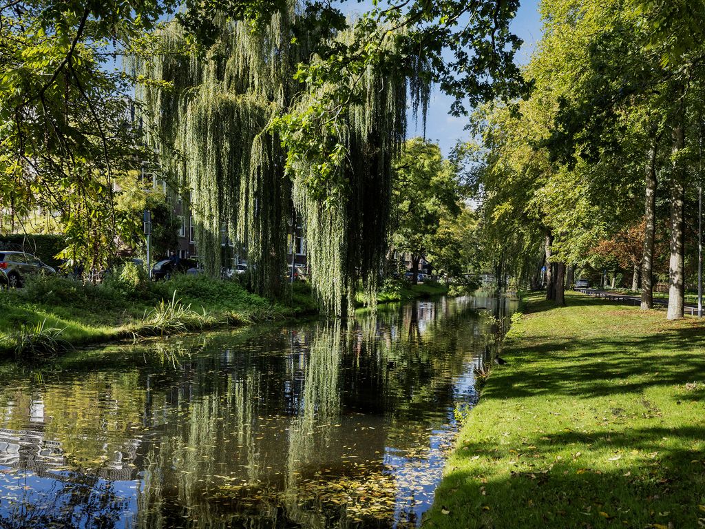 Erasmussingel 48B, ROTTERDAM
