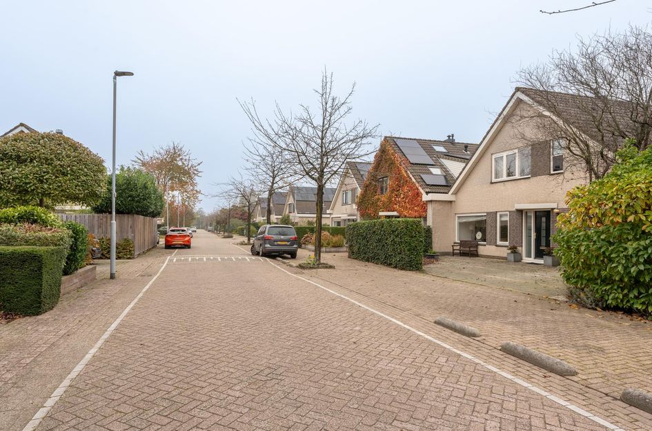 Willem Coepijnstraat 11