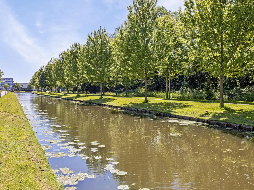 van Meelstraat 38, ZWIJNDRECHT