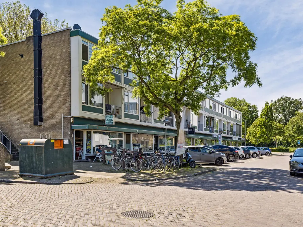 van Meelstraat 38, ZWIJNDRECHT