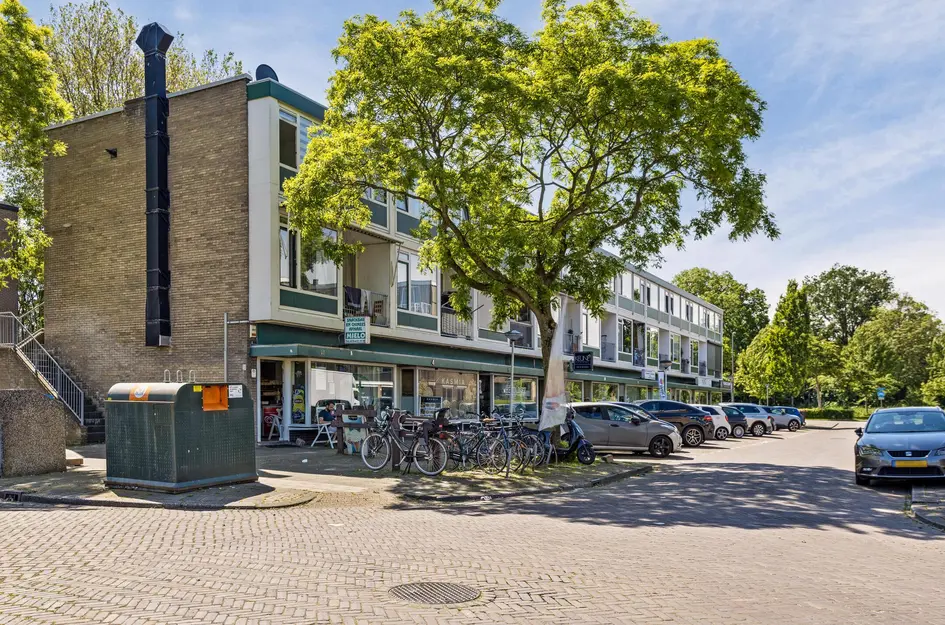 van Meelstraat 38