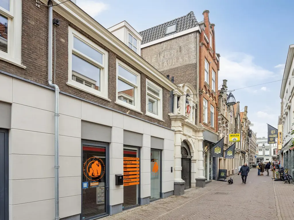 Vriesestraat 17, DORDRECHT