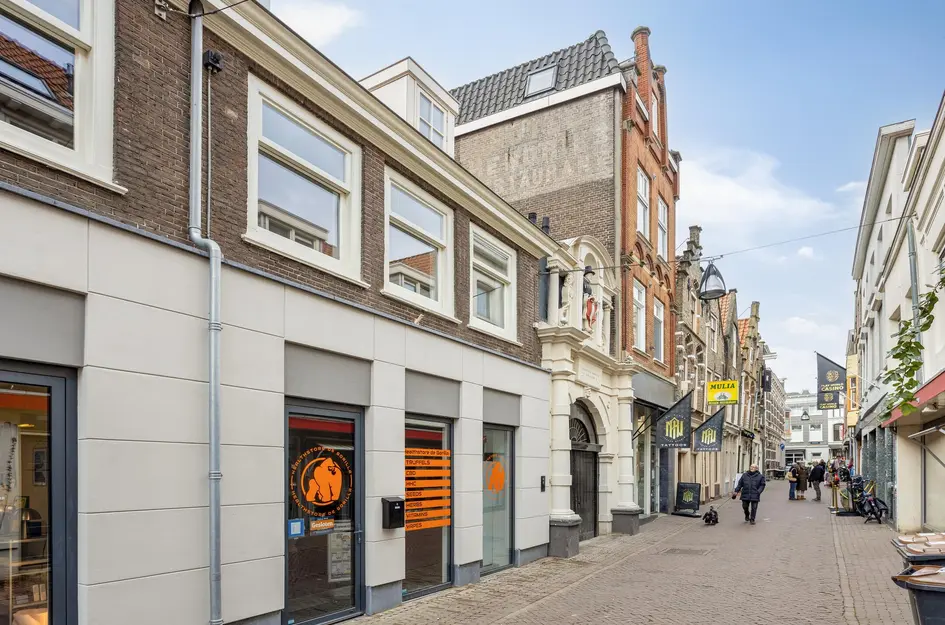 Vriesestraat 17