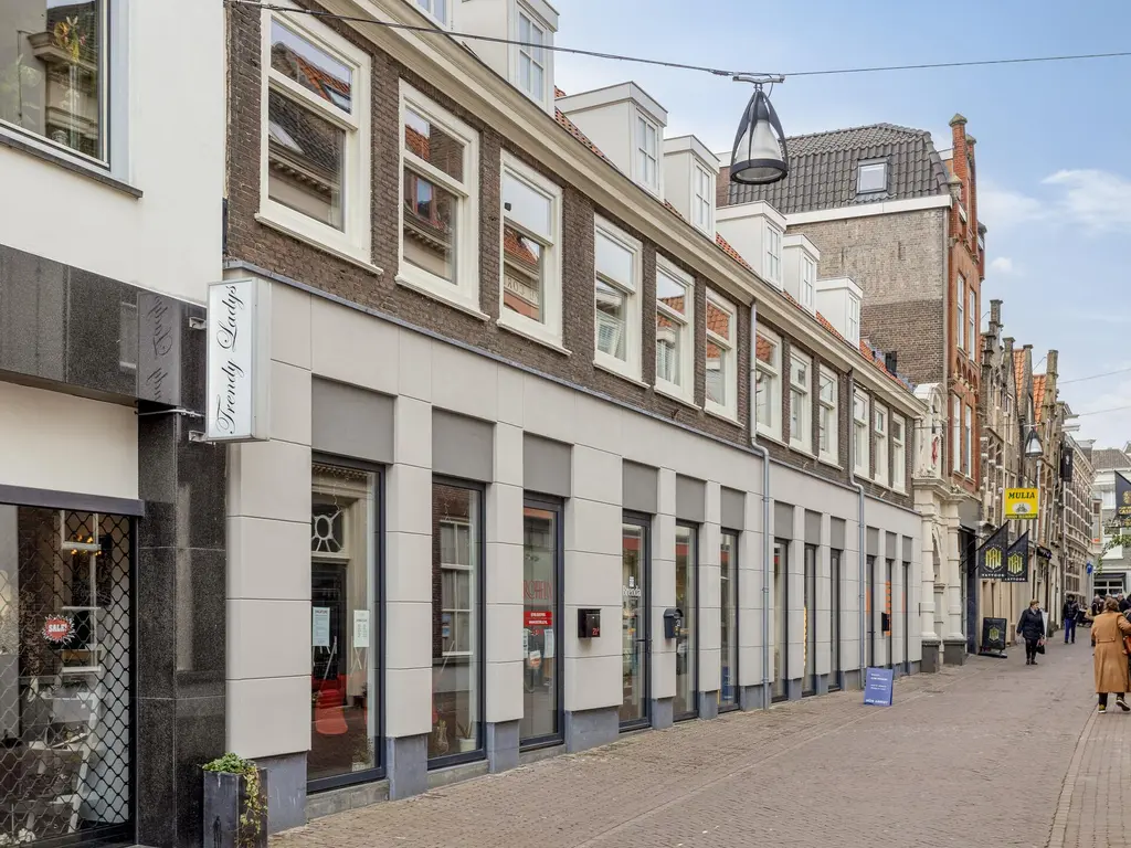 Vriesestraat 17, DORDRECHT