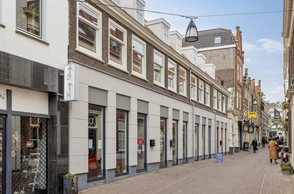 Vriesestraat 17